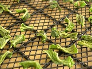 Dried green bean pieces on the dehydrator tray.