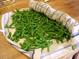 Rolling blanched green bean pieces in a towel to dry them off.