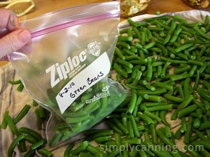 Packing blanched green bean pieces into a labeled freezer bag.