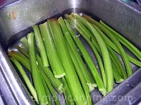 Washing a pile of large green rhubarb stalks in the sink.