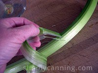 Peeling stringy pieces off of a stalk of green rhubarb.