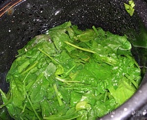 Blanching spinach down in a graniteware pot.