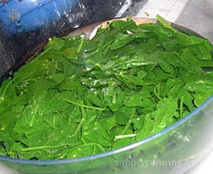 Wilted spinach cooling down in a large bowl of water.