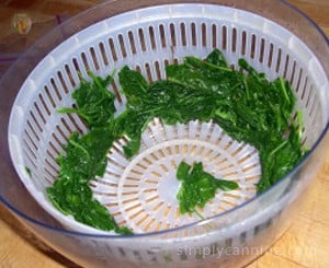 Draining blanched spinach in a salad spinner.