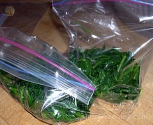 Packing small portions of blanched spinach into bags for the freezer.