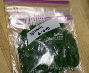 A portioned bag of spinach packed into a freezer bag.