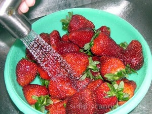 Rinsing large fresh strawberries under a spray of running water.
