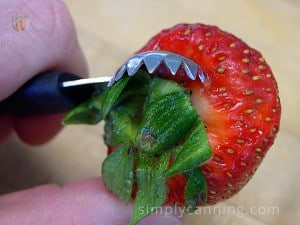 The tines of a strawberry huller pushing underneath a strawberry stem to remove it.