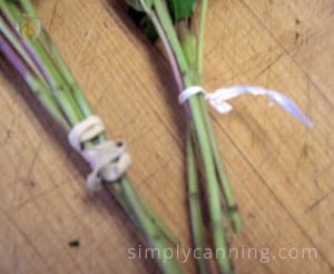 Tying oregano stems together tightly.