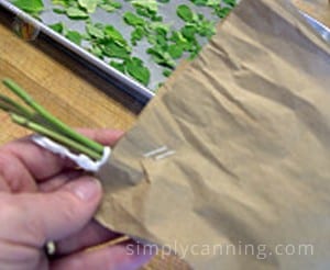 Wrapping the bundles of herbs in paper bags with a tray of herb leaves sitting in the background.