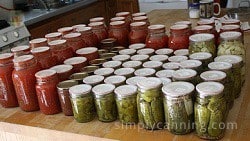 More than thirty jars of home canned food sitting on the countertop.