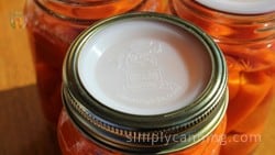 A Harvest Guard reusable lid with a metal ring around it.