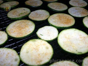 Seasoning sprinkled over raw zucchini slices.