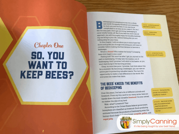Beekeeping-1