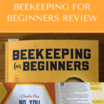 Bekeeping for Beginners Review