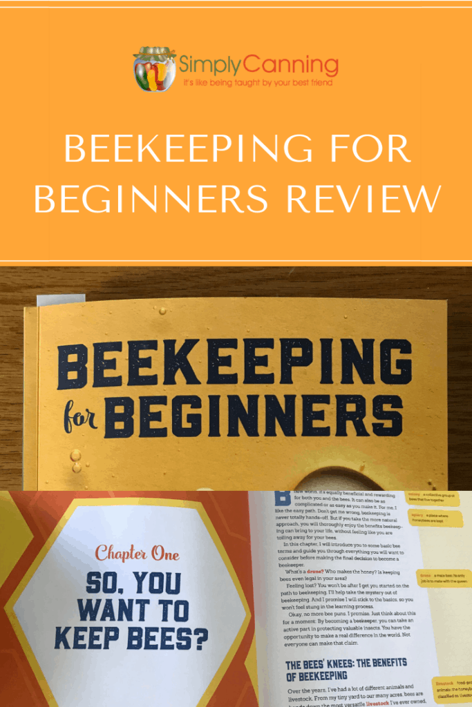 Beekeeping for Beginners Review Pin