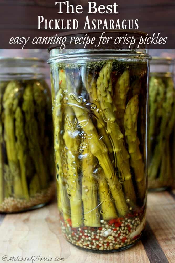 Bestpickledasparagusrecipe