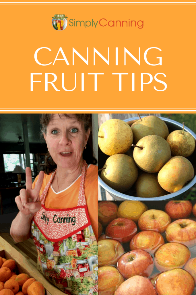 Canning Fruit Tips pin