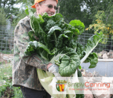 Canning Vegetable Garden