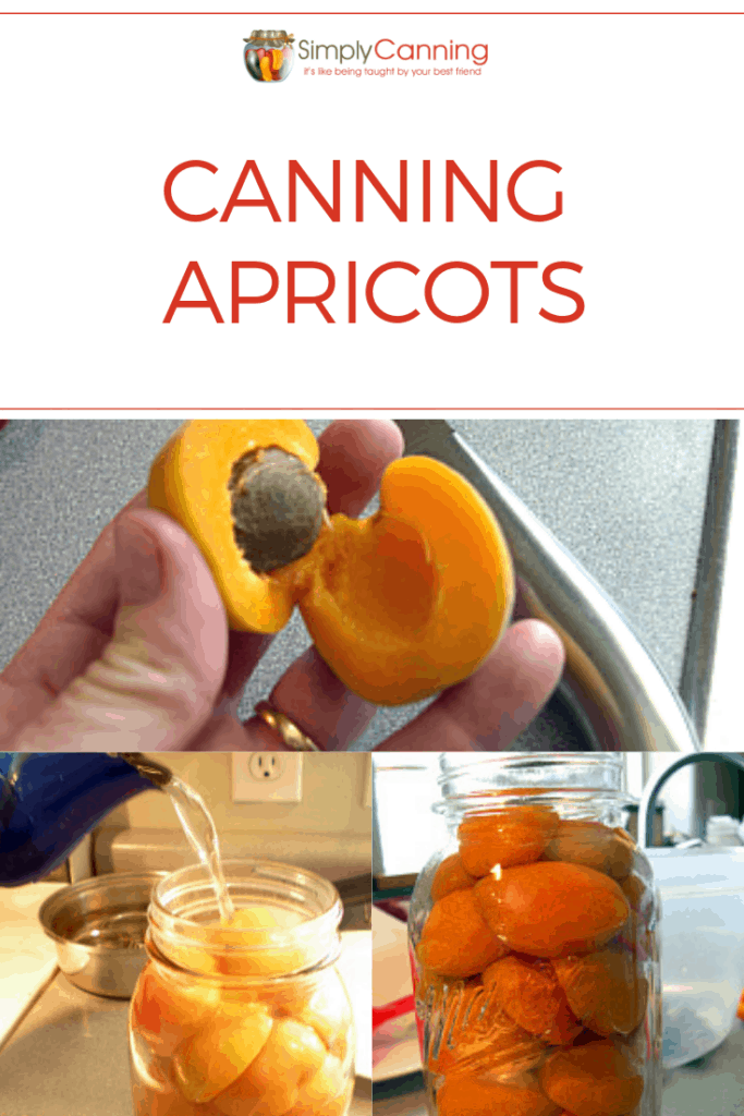 Canning Apricots