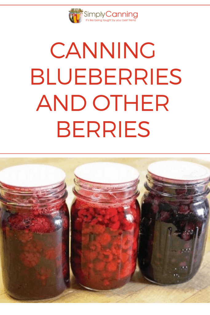 Canning Blueberries