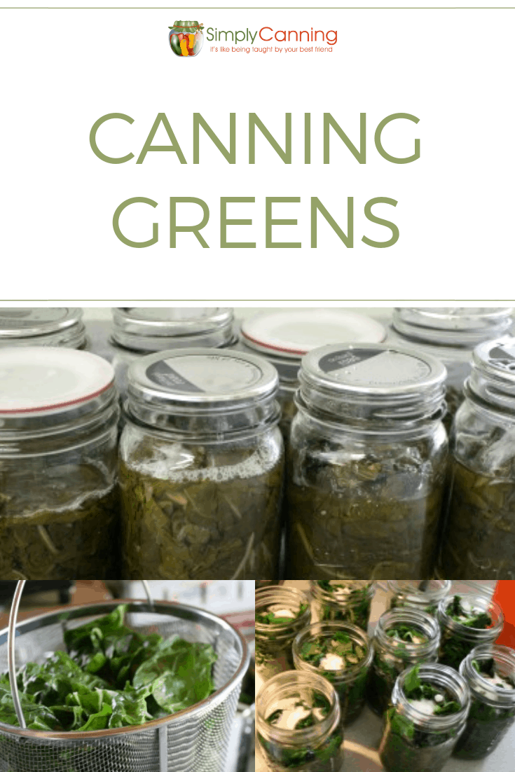 Canning greens is one of the most simple foods to process!