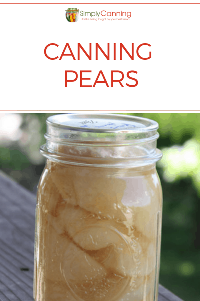 Canning Pears How to can pears including syrup and juice options.
