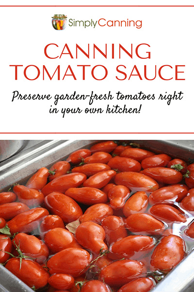 Canning Tomato Sauce pinterest image of tomatoes in a sink of water.