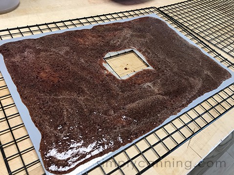 Fruit puree spread evenly over a dehydrator tray.