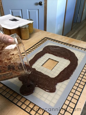 Pouring the fruit puree straight from the blender and over the lined dehydrator tray.