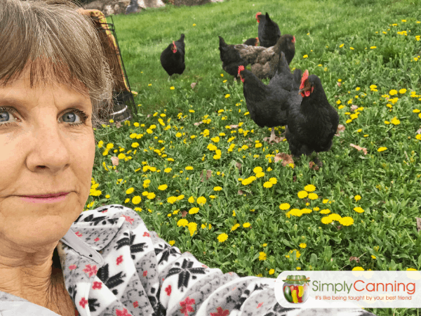 Sharon picking dandelions with the chickens pecking around the ground nearby.