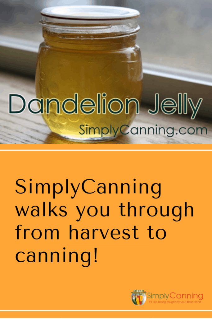 Dandelion jelly pin1