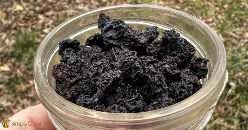 Holding a clear glass dish of shriveled dried blueberries.