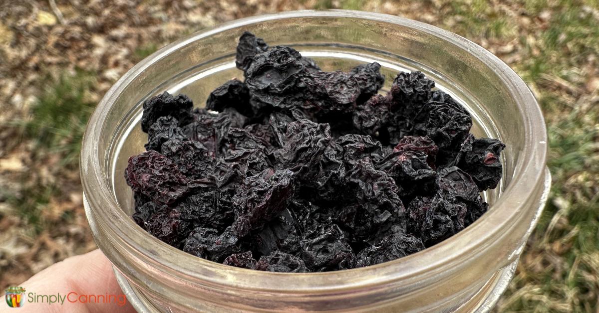 Holding a clear glass dish of shriveled dried blueberries.