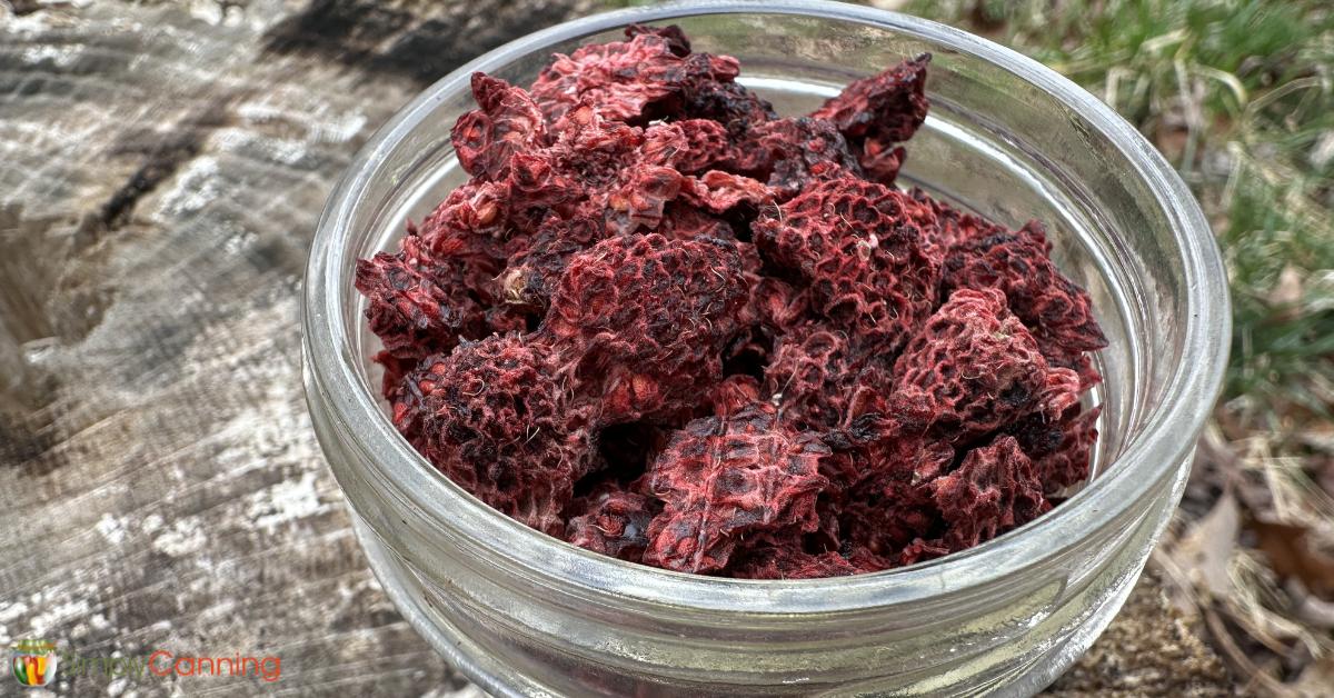 A dish of lovely deep red dried raspberries.