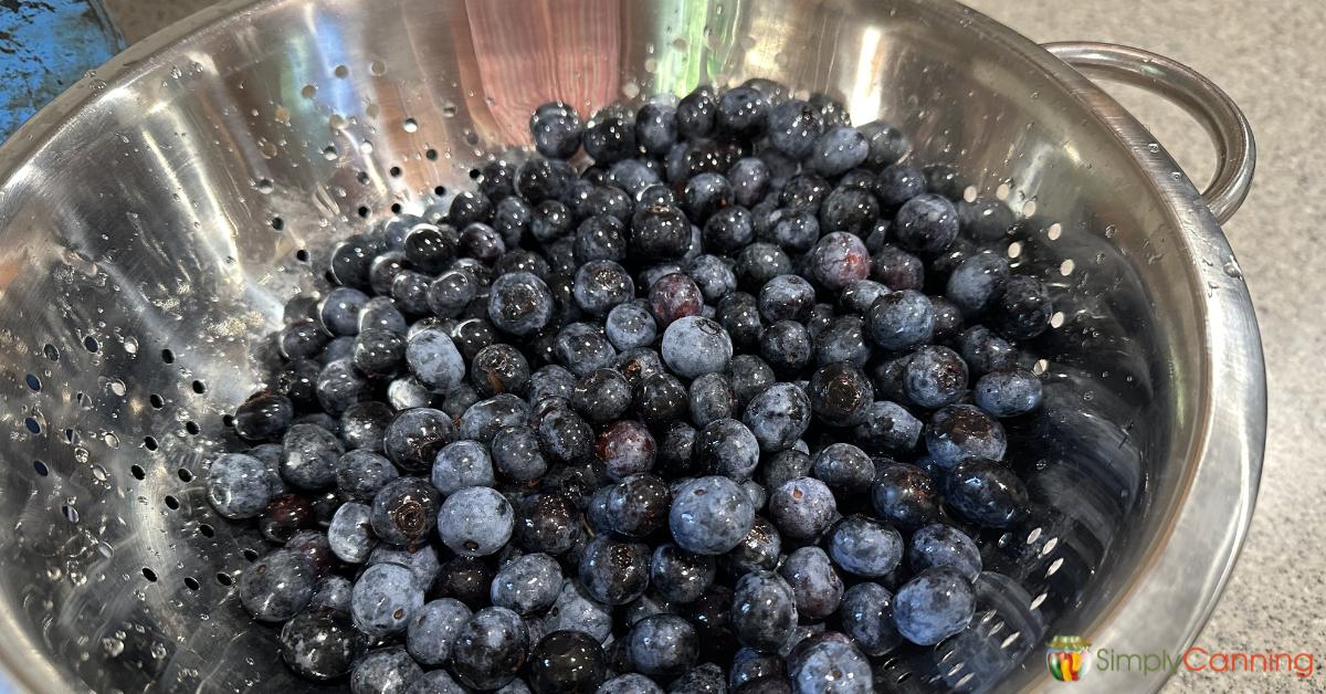 A bowl full of fresh, ripe blueberries.