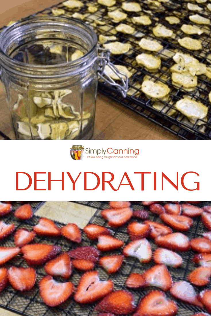 Dehydrating for beginners. Simple Tutorials and Tips.
