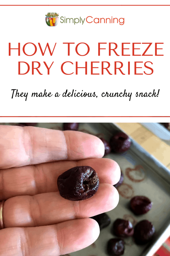 How to Freeze Dry Cherries with a Home Freeze Dryer. A Detailed Guide.
