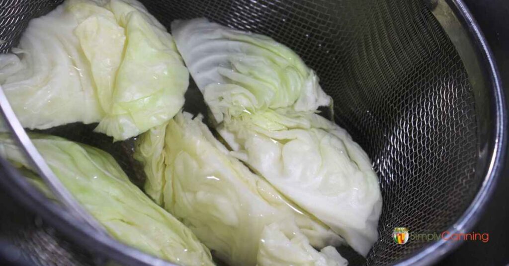 Wedges of cabbage in a blancher basket of water.