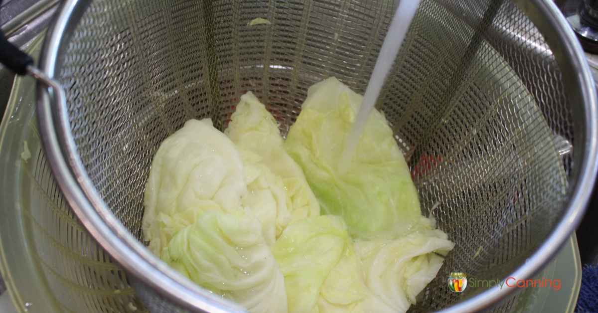 Running cool water over blanched cabbage wedges in a blancher basket.
