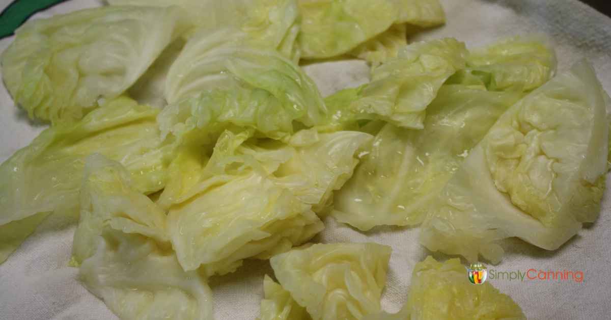 Drying blanched cabbage on a kitchen towel.