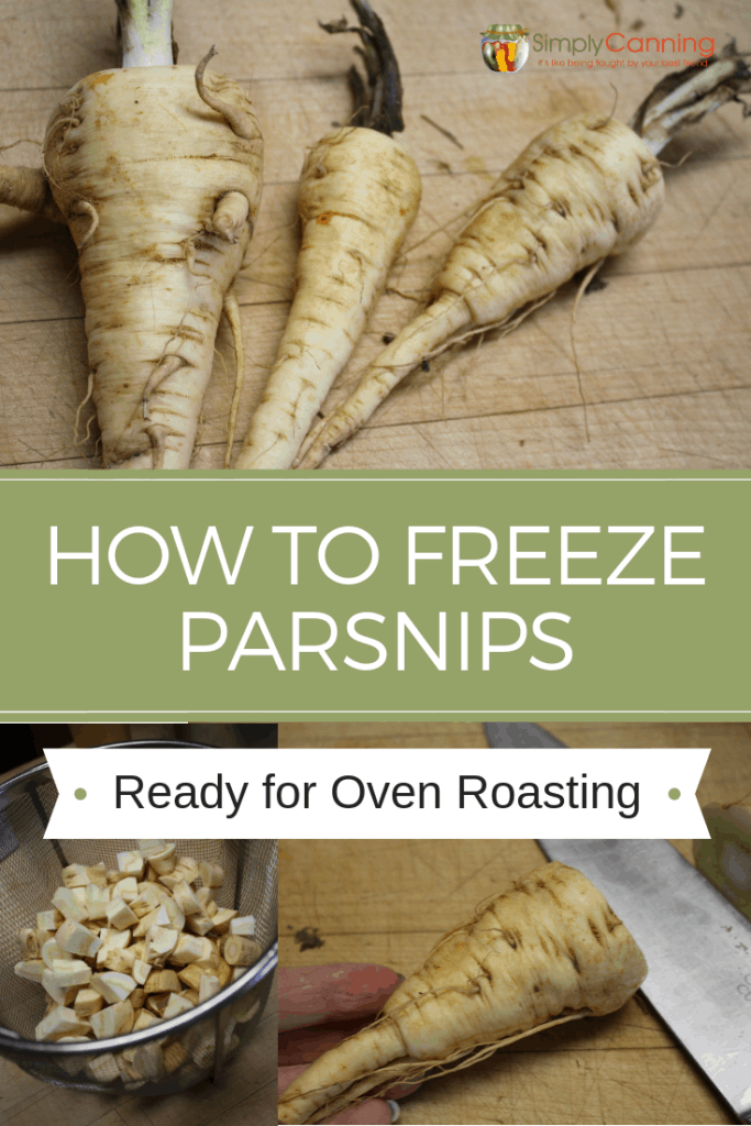 Freezing Parsnips-1