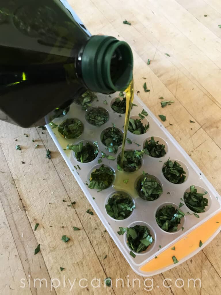 Pouring olive oil into an icecube tray that's filled with chopped herbs.
