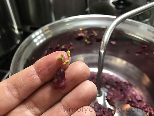 Pointing out grape seeds and skins that the food mill removes.