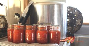 Pint jars of tomato juice sitting in front of a pressure canner.