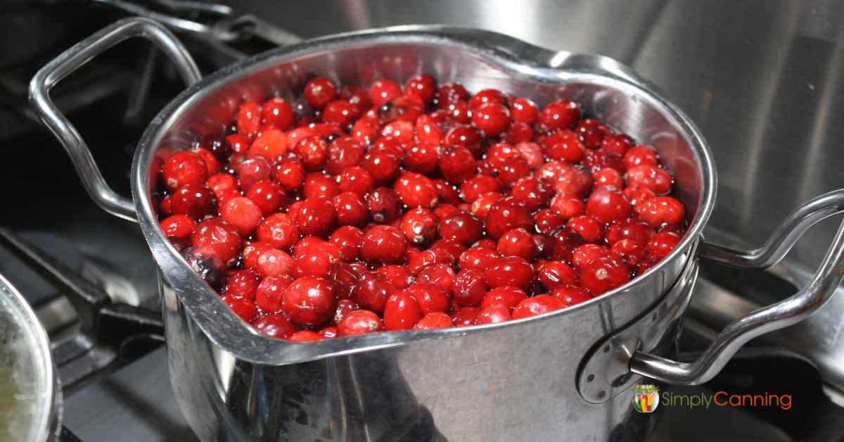 A jar full of fresh cranberries floating on top of the water.