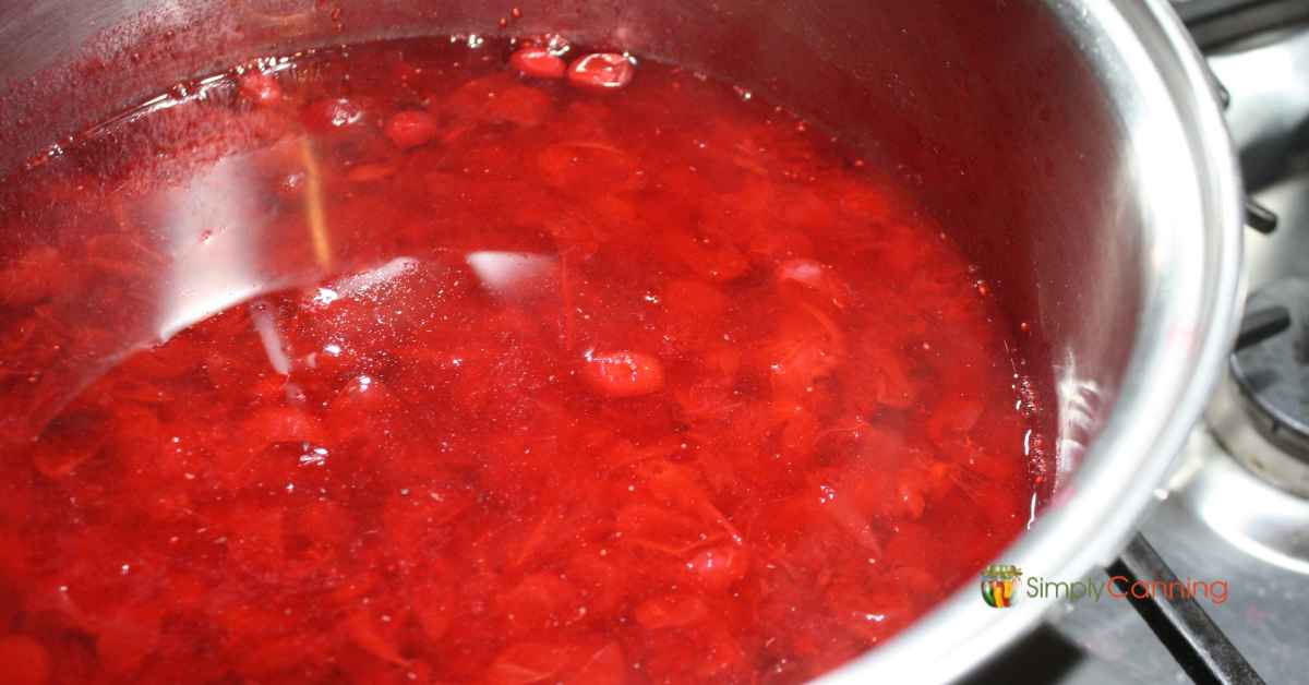 Cooked splitting cranberries and juice in a pot.