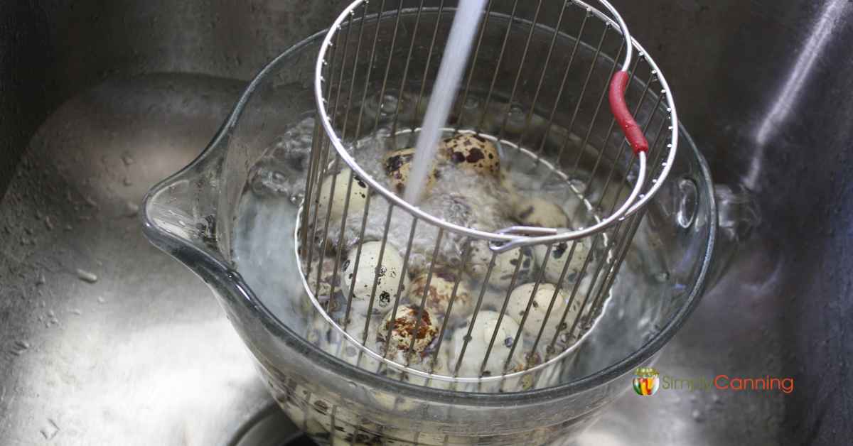 Spraying cool water over cooked quail eggs in the basket.