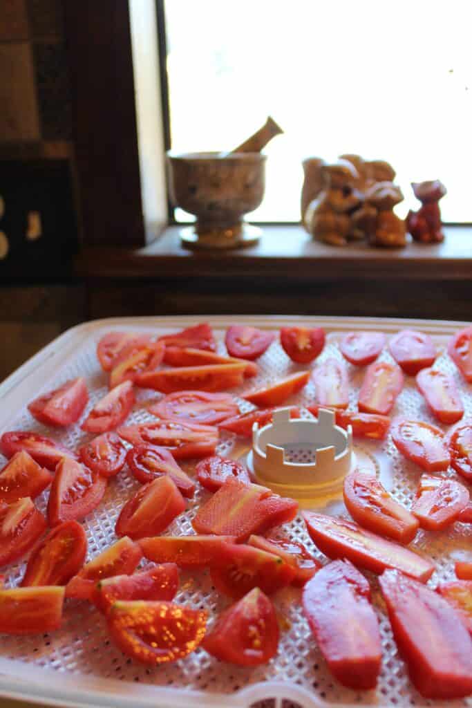 KristiStoneDehydratorTomatoes