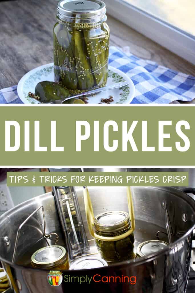 Dill Pickles 